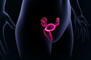 Our Services - Cancer Services - Cancer Types - Gynaecology Cancer - Introduction Our Services - Cancer Services - Cancer Types - Gynaecology Cancer - Introduction